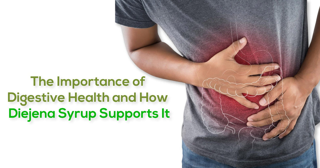 The Importance of Digestive Health and How Diejena Syrup Supports It